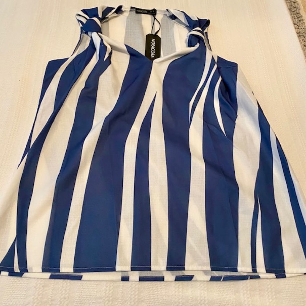 Blue and White sleeveless top